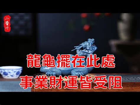 烏龜擺飾風水|五種烏龜擺飾風水布局大公開